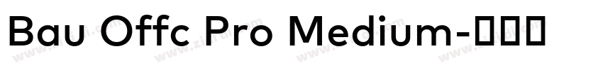 Bau Offc Pro Medium字体转换 Bau Offc Pro Medium字体转换